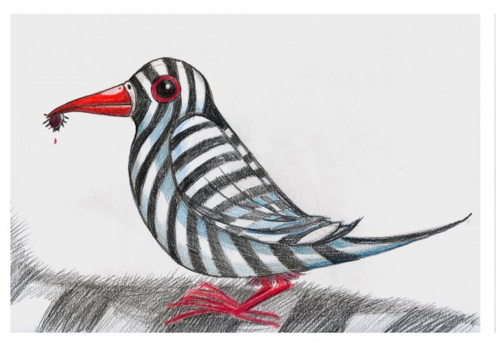 illustrazione davide ceccon